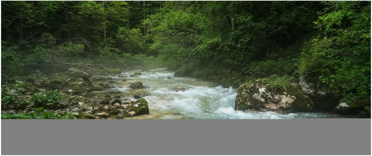 malerischer fluss in gruener landschaft