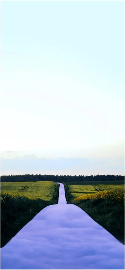 malerischer weg durch ein gruenes feld mit wolken