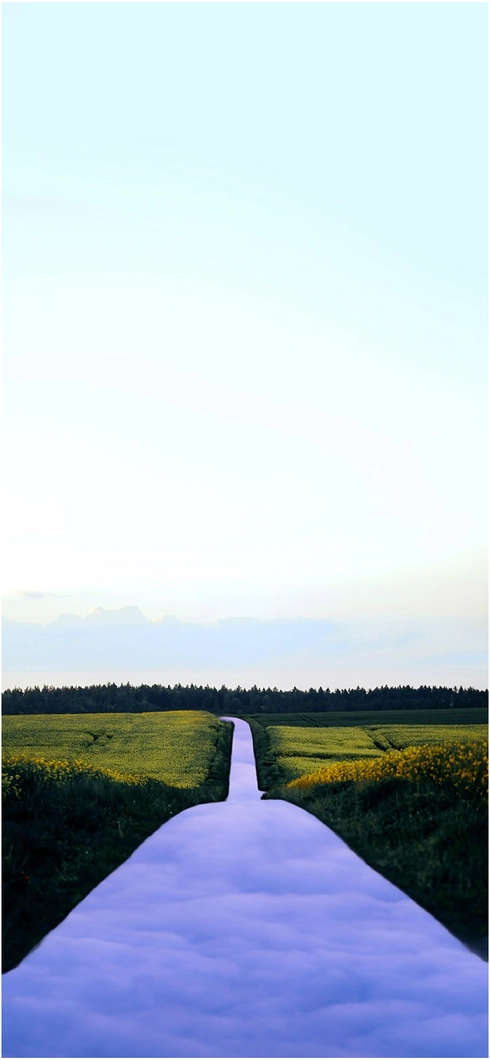 malerischer-weg-durch-ein-gruenes-feld-mit-wolken