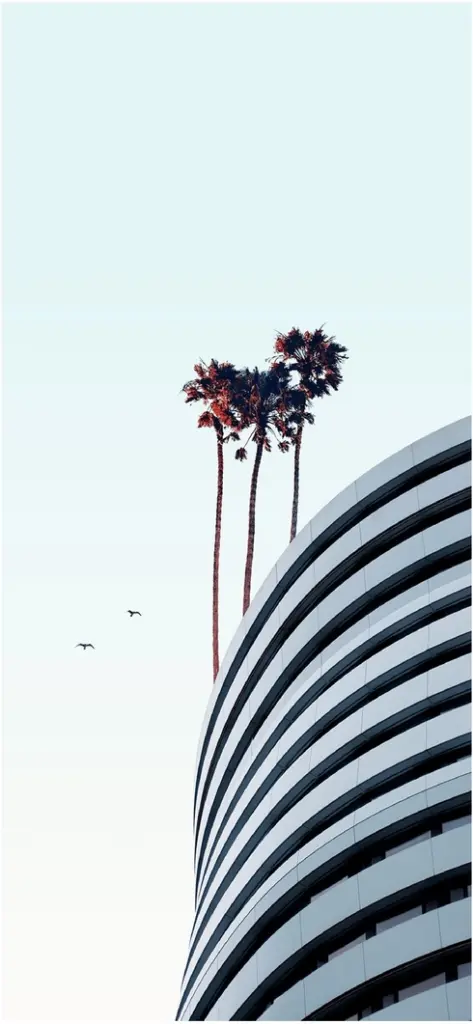 moderne architektur mit palmen und klarem himmel