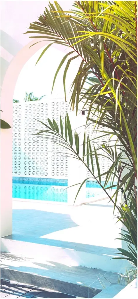 moderne poolansicht mit tropischen pflanzen und architektur