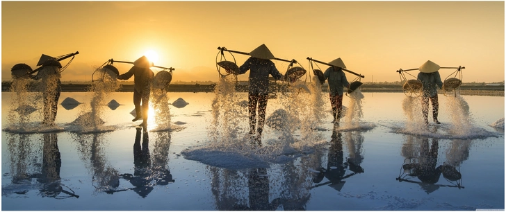 morgendliche szenen salzernte vietnam natur arbeiten