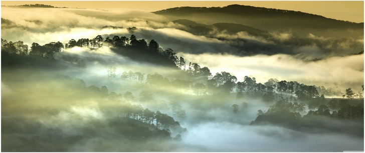 morgennebel ueber den huegeln im wald