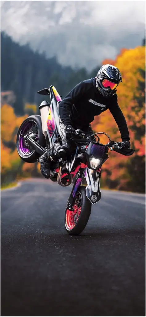 motorradfahrer beim stoppie in herbstlandschaft