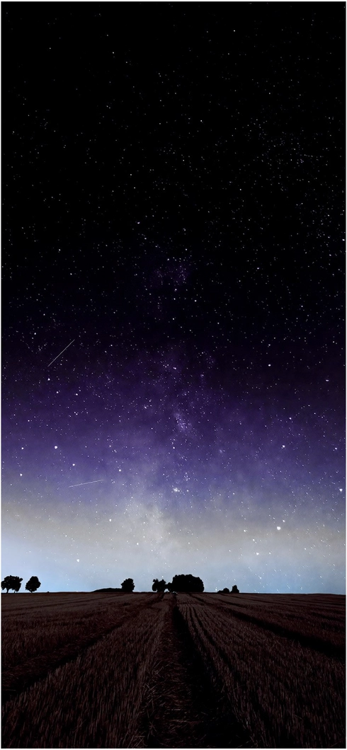 nachtlandschaft-mit-sternen-und-milchstrasse