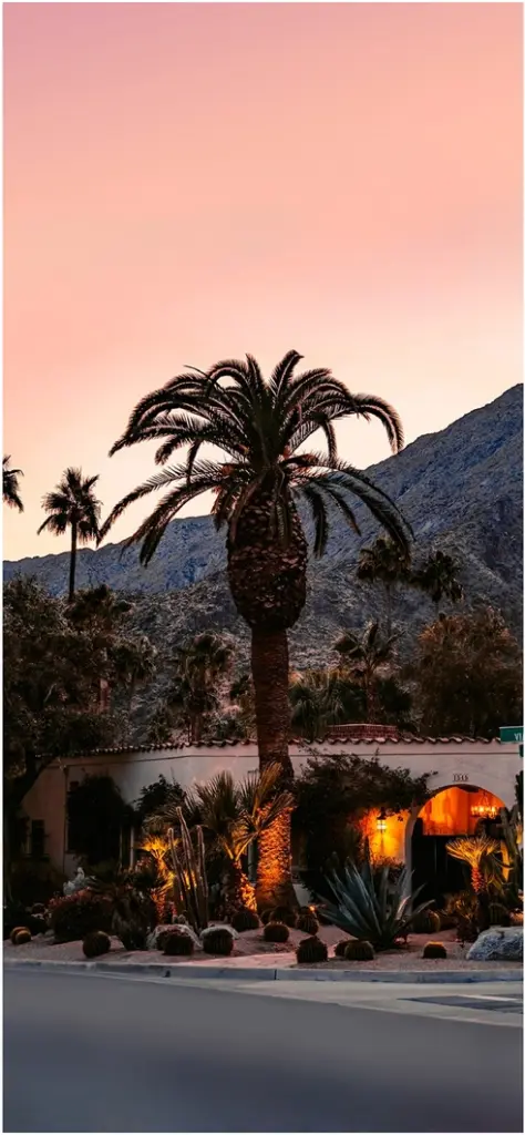 palme abendhimmel und architektur in der natur