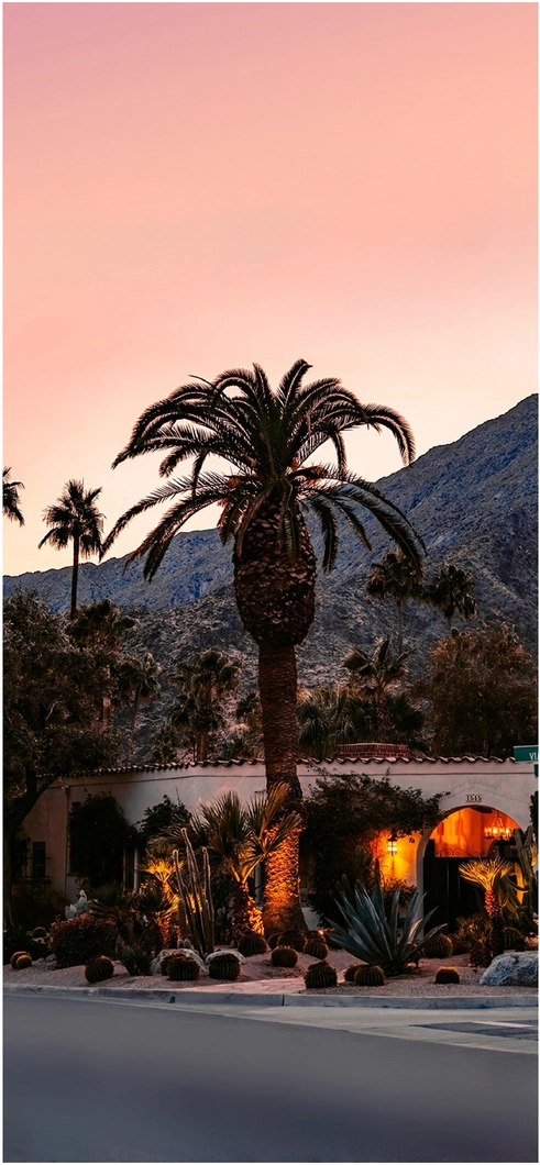 palme-abendhimmel-und-architektur-in-der-natur