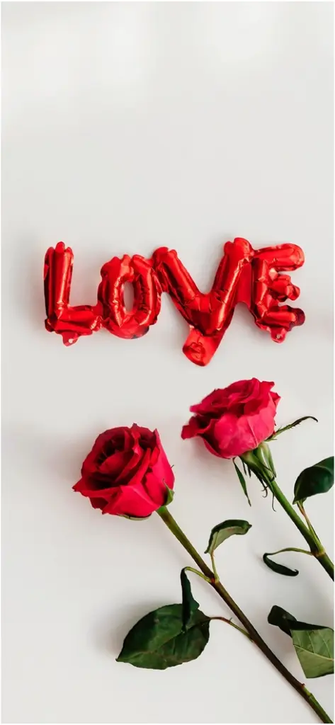 romantische rosen neben love schriftzug