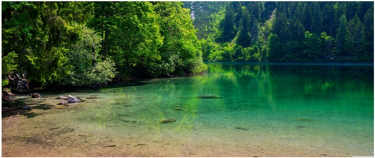 ruhige seenlandschaft mit ueppigem gruen und klarem wasser