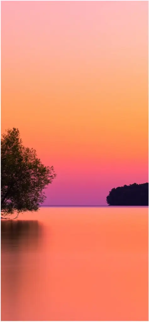 ruhiger wasserbereich mit sanften farben und baum