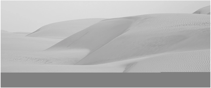 sanfte sandduenen in schwarz weiss