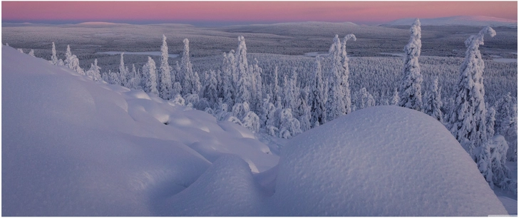schneebedeckte landschaft finnlands mit pastellhimmel