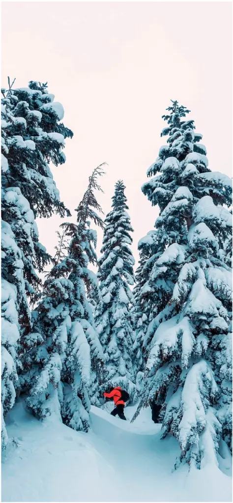 schneebedeckte winterlandschaft mit skifahrer in rot
