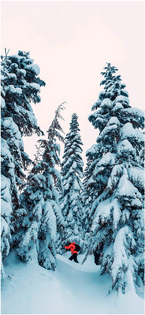 schneebedeckte-winterlandschaft-mit-skifahrer-in-rot