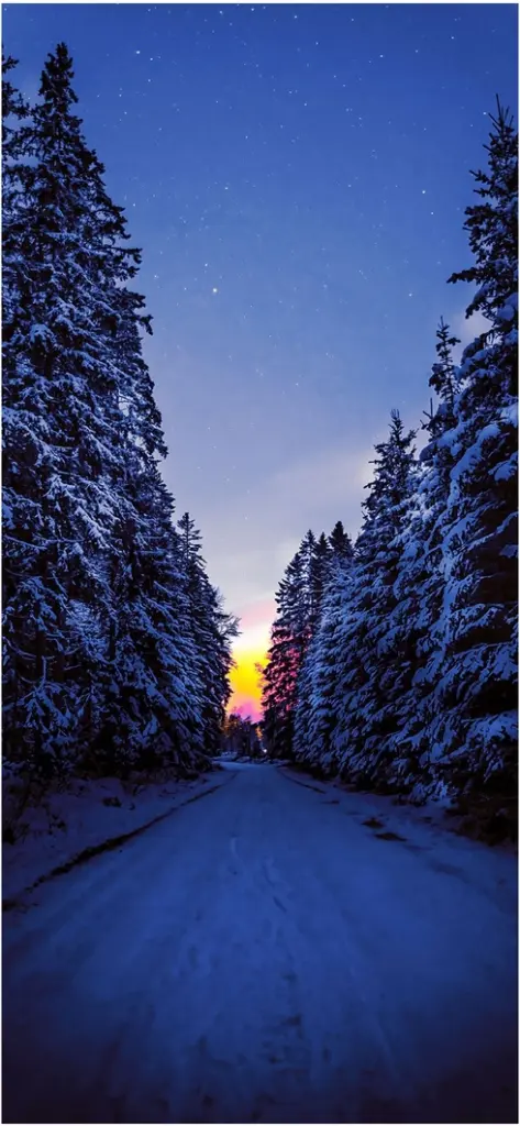 schneebedeckte winterlandschaft mit sonnenuntergang und tannenbaeumen