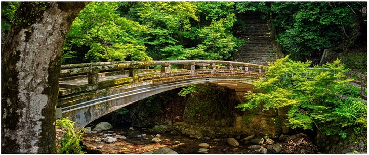 schoene bruecke in der natur mit gruener landschaft