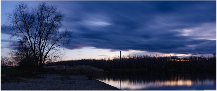 seelandschaft waehrend der blauen stunde mit baum