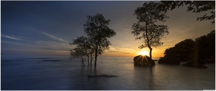 sonnenuntergang mit silhouettierten baeumen am wasser