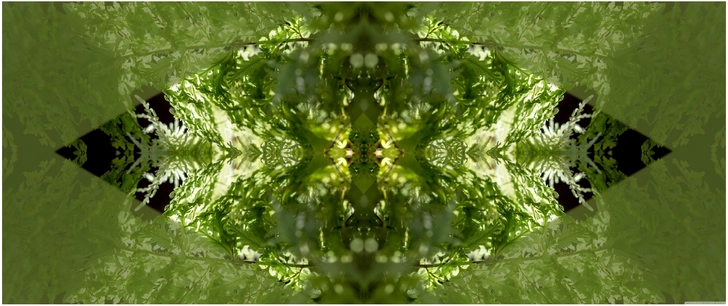 symmetrische darstellung von gruentoenen und pflanzen