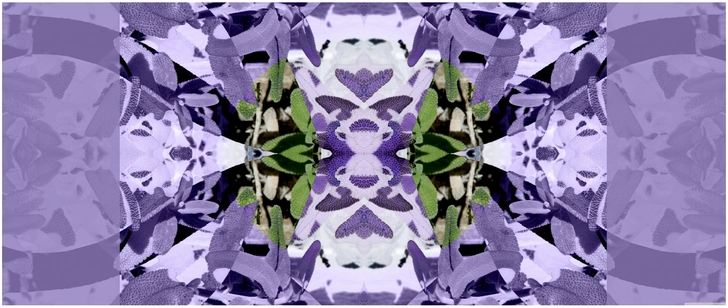 symmetrisches kunstwerk in violetttoenen