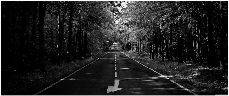 verlassene strasse im wald in schwarzweiss