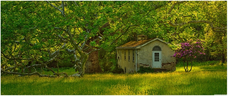 verlassenes haus in gruener natur szene