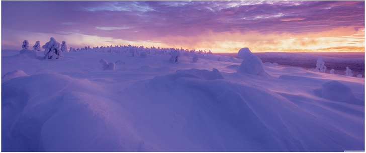 violet orange winterlandschaft in finnland