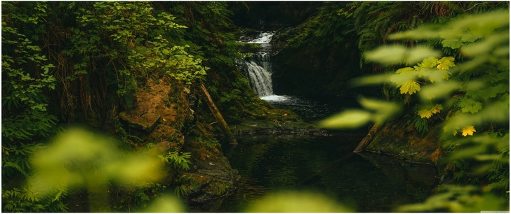 wasserfall szene in ueppiger naturumgebung