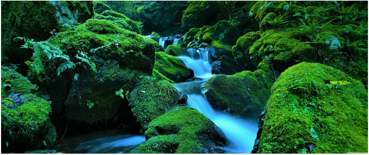 wasserlauf durch moosbedeckte felsen in der natur