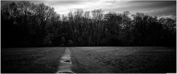 weg durch die natur im schwarz weiss stil