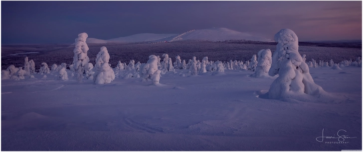winterlandschaft mit schneebedeckten baeumen in finnland