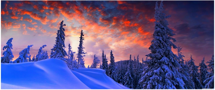 winterliche landschaft mit sonnenuntergang und schneebedeckten baeumen