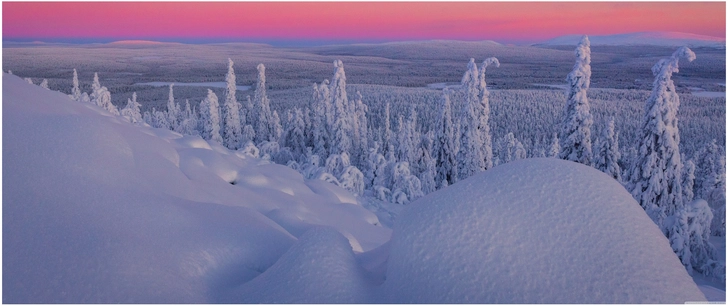 wunderschoene winterlandschaft mit verschneiten baeumen und himmel