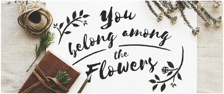 you belong among the flowers kunstvolle illustration mit pflanzen elementen